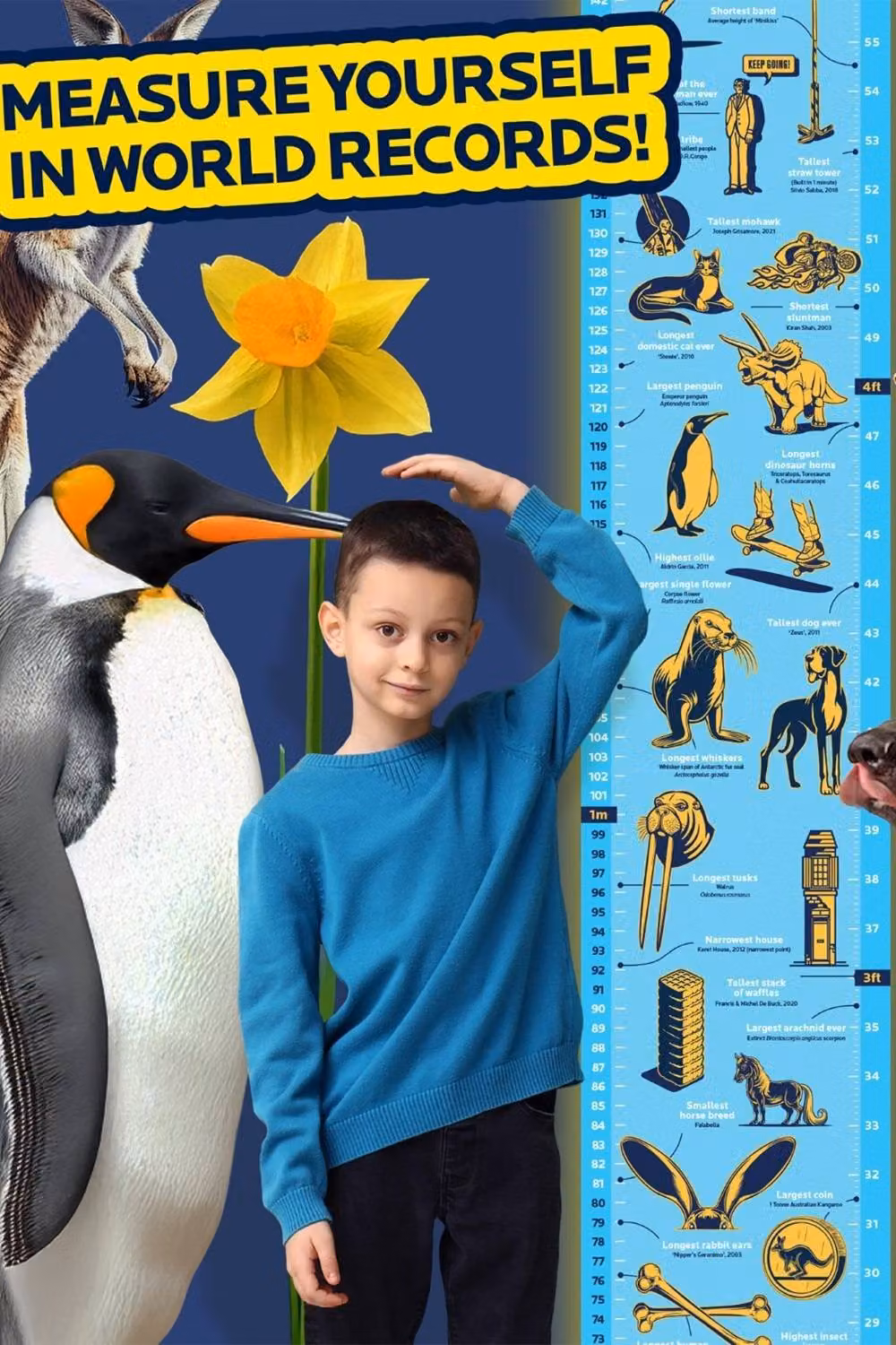 Suck UK Guinness World Records Height Chart Multicolour Paper Poster for Kids – 3