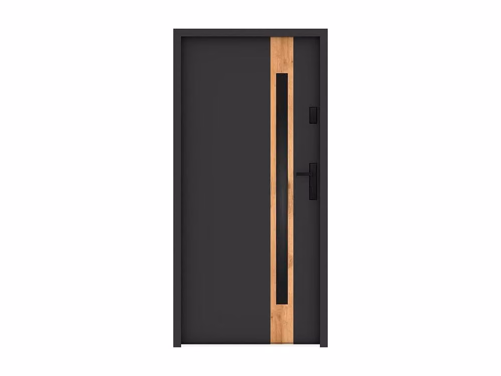 Vente-unique Modern Steel and Stainless Steel Front Door with Smoked Glass Insert, Grey, H: 207 cm, W: 100 cm – 2
