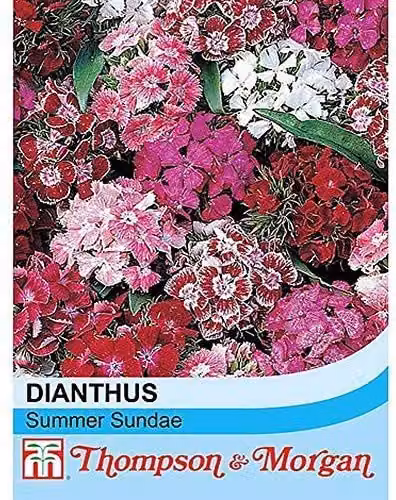 Thompson and Morgan Dianthus Summer Sundae Pink Flower Seeds, 30 Seeds