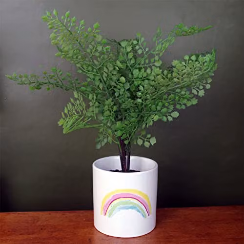 Leaf Ceramic Rainbow Indoor Cachepot Planter, Multicolour, W/D/H: 12 x 12 x 12 cm – 2