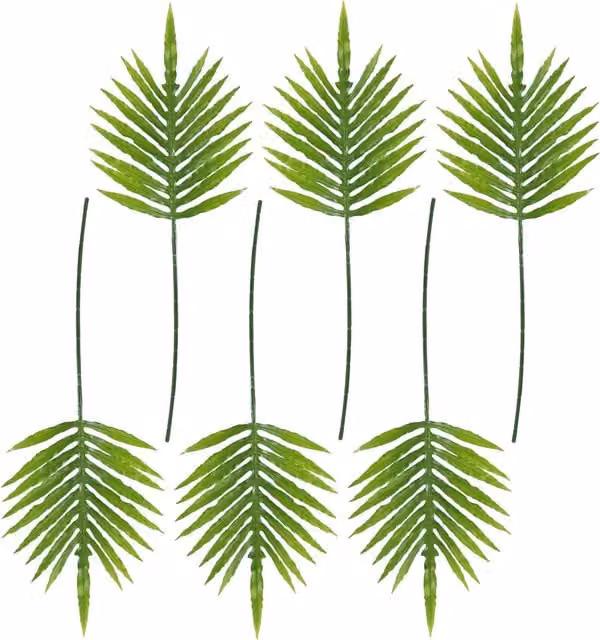 Pack of 6 Green Organic Palm Leaves, Length: 95 cm