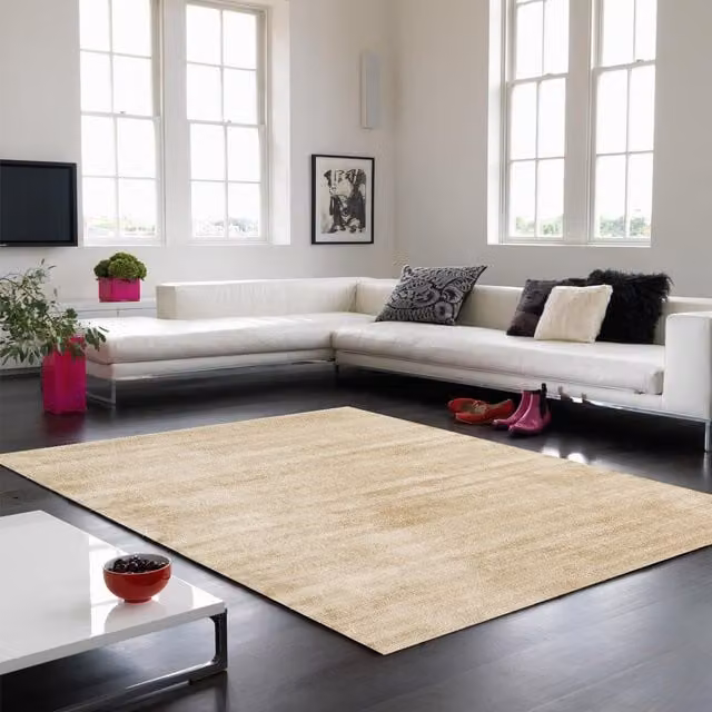 The Rug Shop UK Beige Plain Viscose Rectangular Rug, W: 160 cm, L: 230 cm