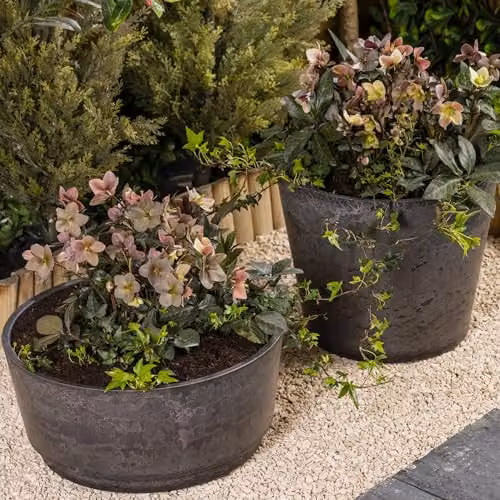 Garden Gear Caesar Marble Effect Charcoal Bowl Planter, Grey and Brown, Diameter: 46 cm – 2