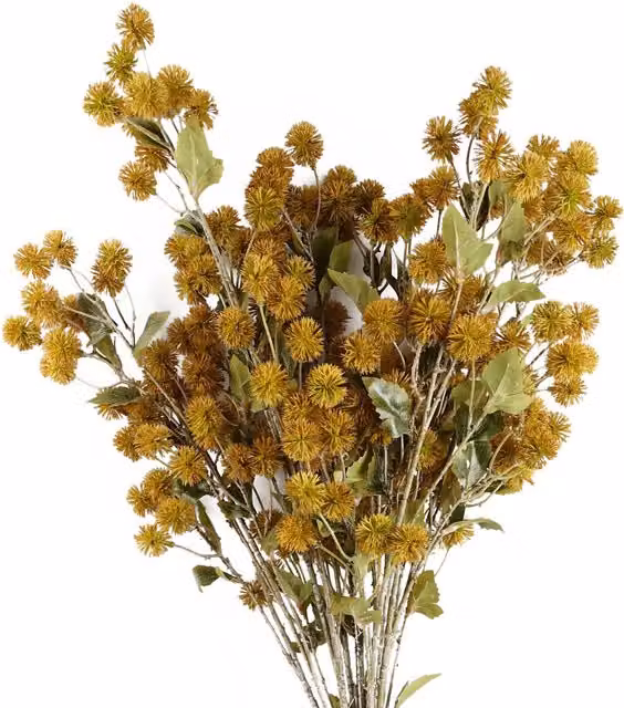 Pegdev Pack of 6 Yellow Artificial Craspedia Stems, 85 cm