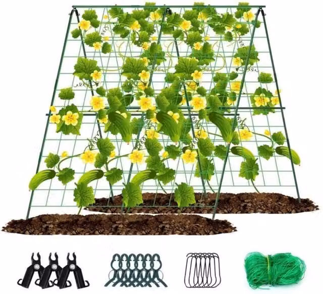 VOGREX Green A-Frame Garden Trellis Climbing Plant Support Stand, Height: 160 cm