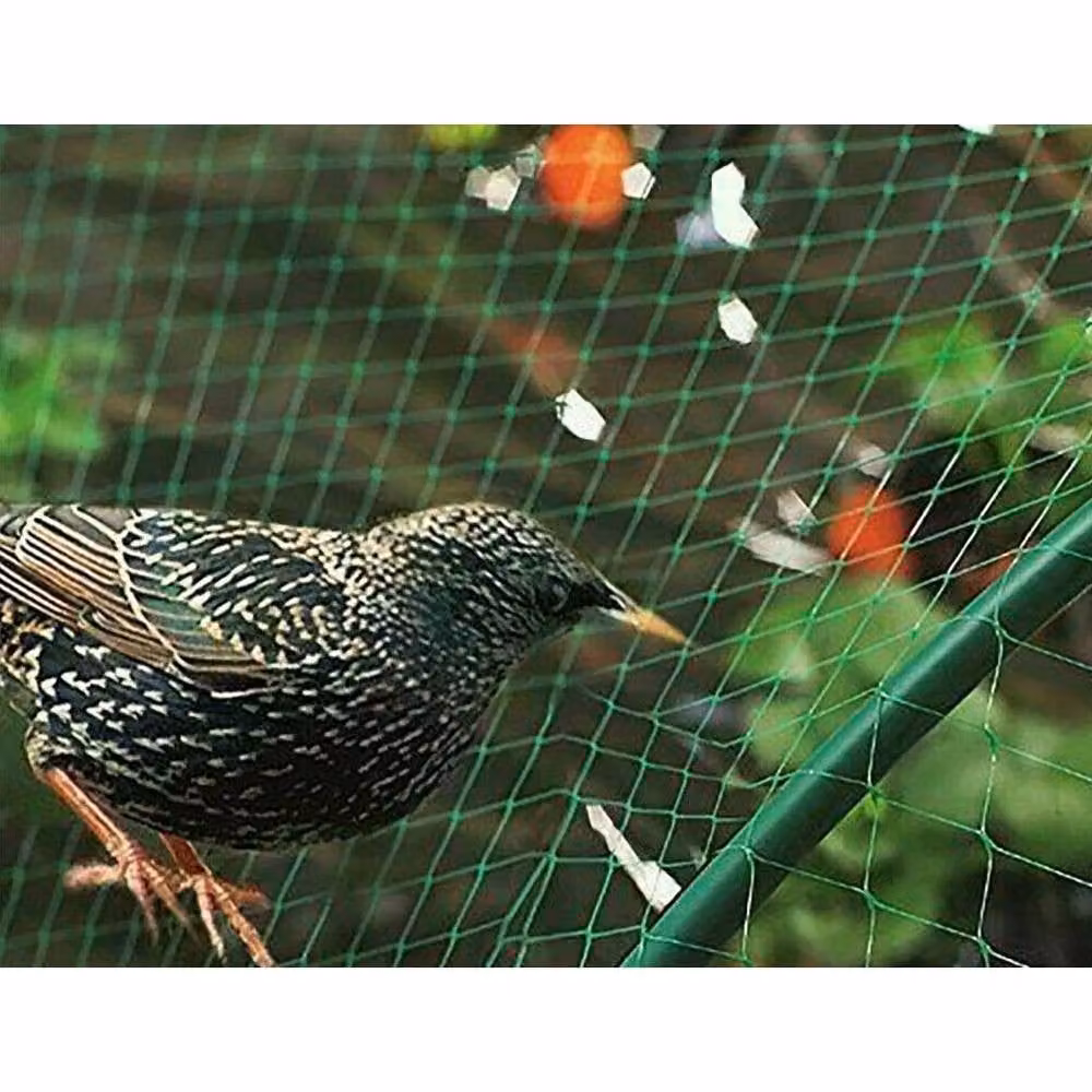 NESTLUNE Green Anti Bird Pond and Garden Netting for Plants and Vegetables, 4m x 10m – 3