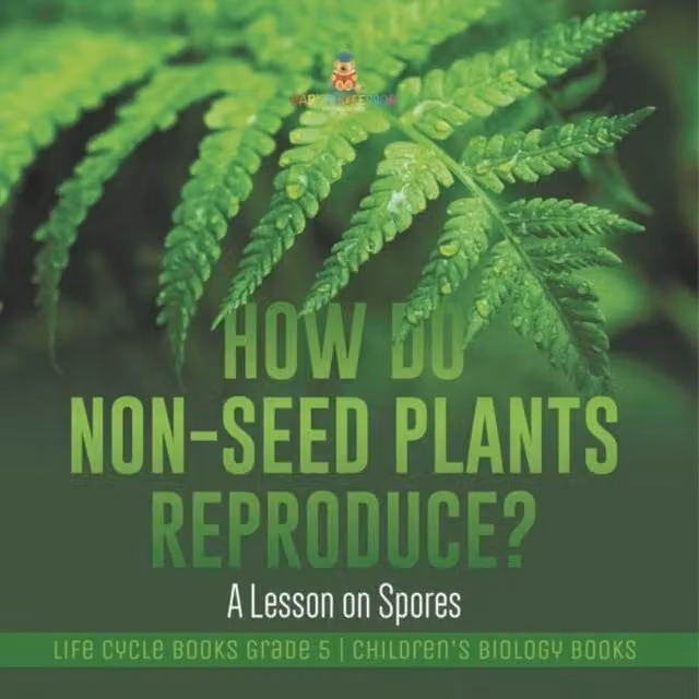 Baby Professor How Do Non-Seed Plants Reproduce? A Lesson on Spores Life Cycle, Multicolour and Green