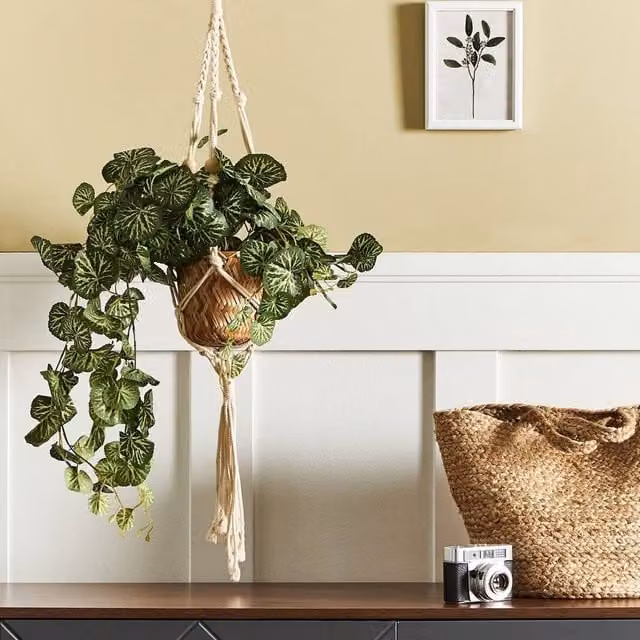 Wyld and Coco Charmi Green Artificial Hanging Plant with Concrete Base, Height: 37 cm