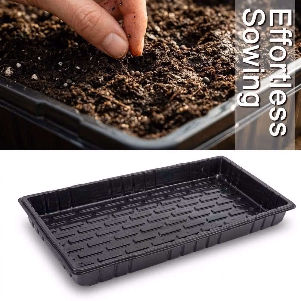 Nordara 10 Pack Black Seed Trays without Drainage, W: 56 cm, D: 28 cm, H: 6 cm – 3