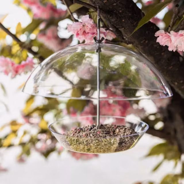 Garden Mile Hanging Dome Bird Seed Feeder in Transparent and Silver