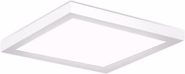 Living Star 12W LED Surface Panel Light, Cool White, White