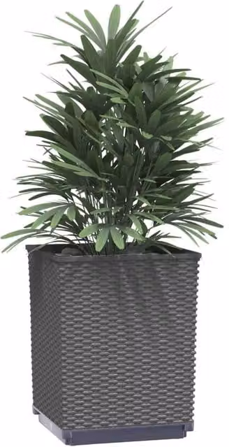 Berkfield Home Black Polypropylene Planter Tub, 2 Pack, W/D/H: 30 x 30 x 37 cm – 1