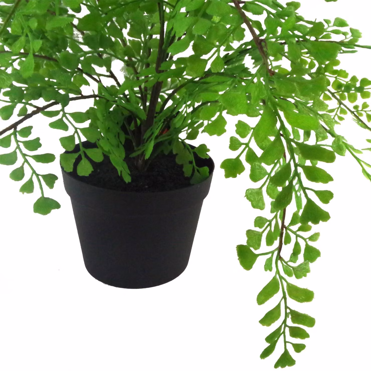 Botanik Premium Artificial Potted Fern Plant in Green, Height: 35 cm – 3