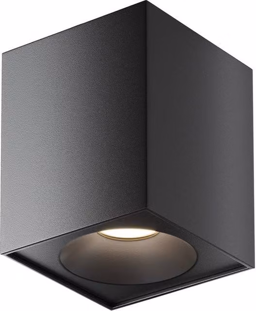 Netlighting Zoom Outdoor Surface Mounted Downlight, Black, IP65, 1xGU10 – 1