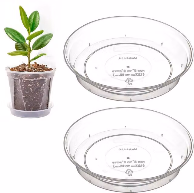 Stewart Transparent Plastic Orchid Plant Pot Saucer Dish, Diameter: 14 cm