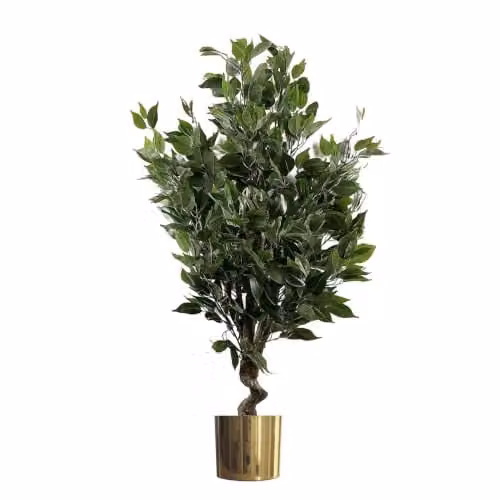 Leaf Design UK Artificial Evergreen Ficus Tree with Gold Planter, Green, Height: 110 cm