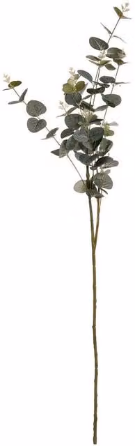 Hill Interiors Artificial Cineraria Eucalyptus Spray in Green