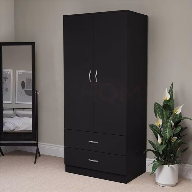 FORGEVIO Ri Modern Black Matt 2 Door 2 Drawer Wardrobe with Hanging Rod