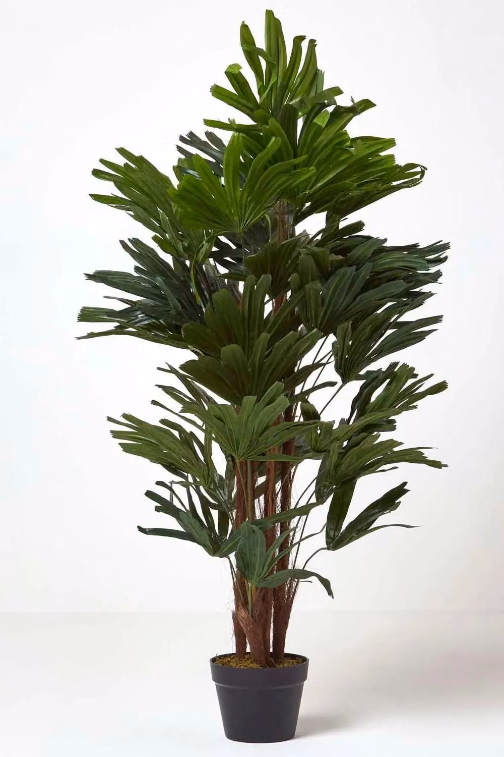 Homescapes Artificial Rhapis Excelsa Palm Tree in Green, Height: 120 cm – 5