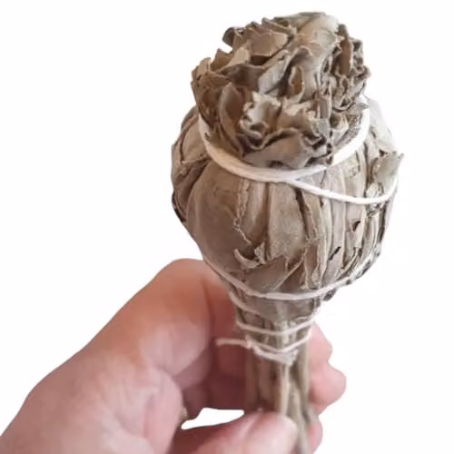 KDMD White Sage Torch Smudge Stick, 10cm – 2