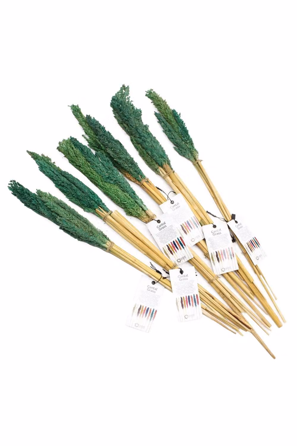 KDMD Vibrant Cantal Grass Bunch Dried Floral Decor in Green, 50 cm – 2