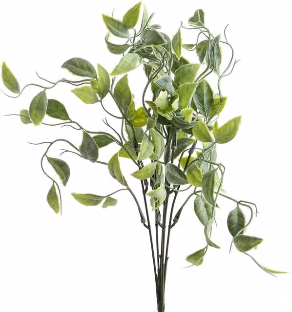 KDMK Organic Fresh Foliage Shoots Greenery Bunch in Green