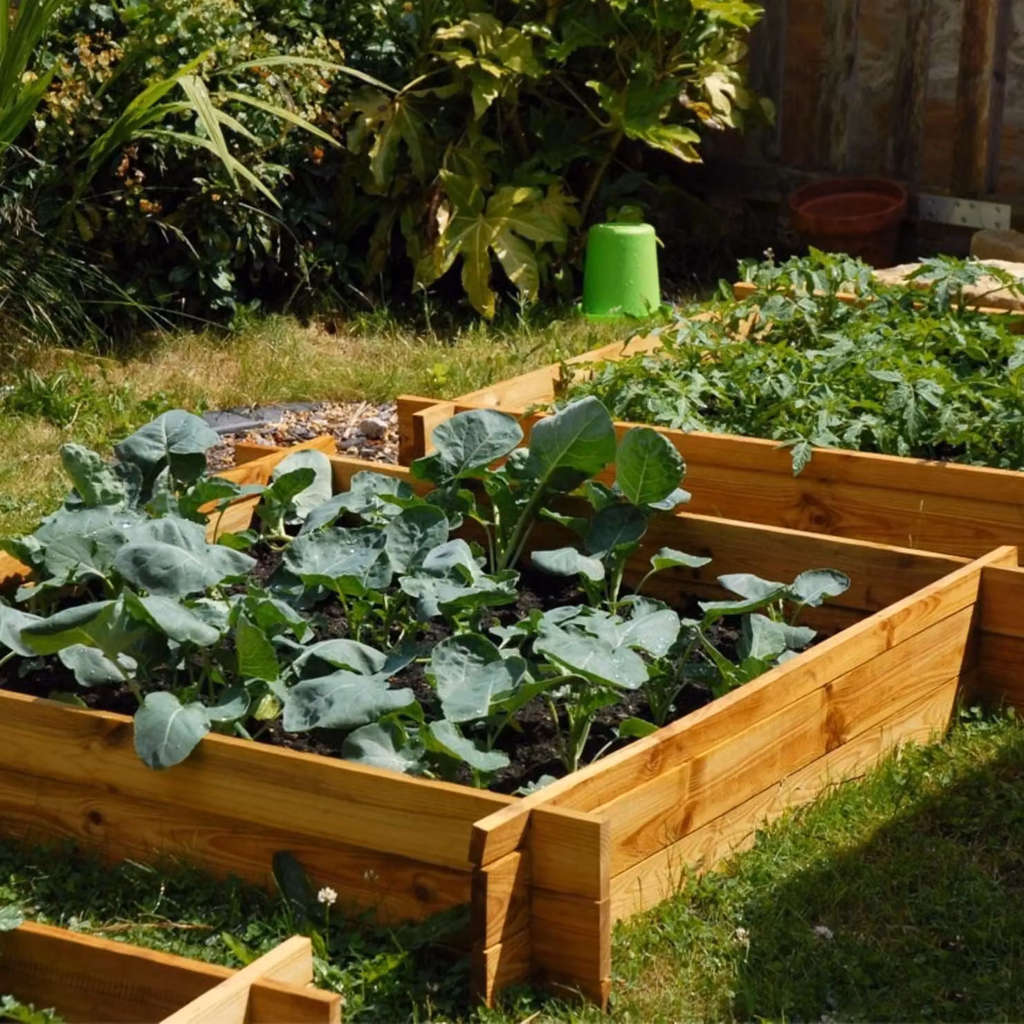 Primrose Chamberlain Rectangular Wooden Raised Grow Bed in Beige, W/D/H: 155 x 80 x 20 cm – 2