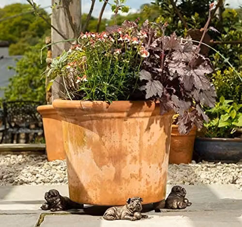 Jardinopia Resting British Bulldog Plant Pot Feet, Bronze, Set of 3, W: 9.0 cm, D: 8.2 cm, H: 8.5 cm