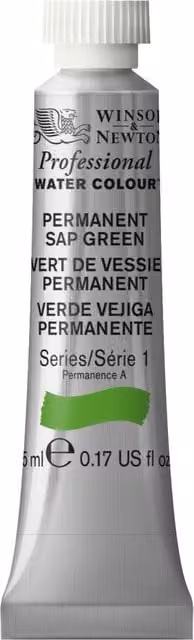 Winsor and Newton Professional Watercolour Paint, Permanent Sap Green, 5ml