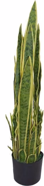 Dyzi Artificial Green Sansevieria Potted Indoor Tabletop Plant, Height: 55 cm