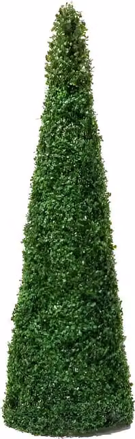 Primrose Artificial Buxus Topiary Cone Tree in Green