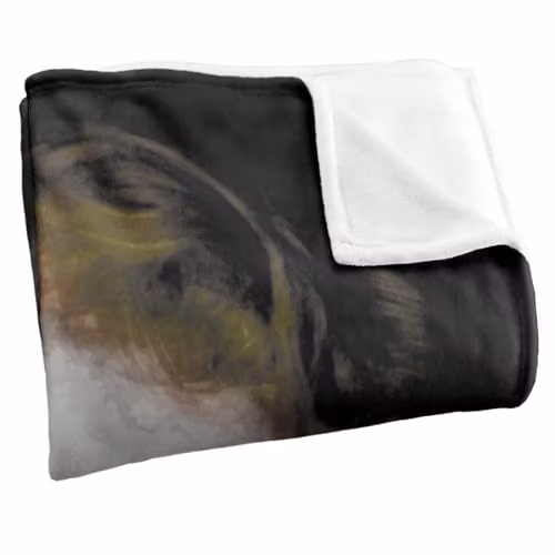 Warner Bros. The Dark Knight Heath Ledger Joker Face Super Soft Fleece Throw Blanket, Multicolour, W: 152 cm, D: 127 cm – 2