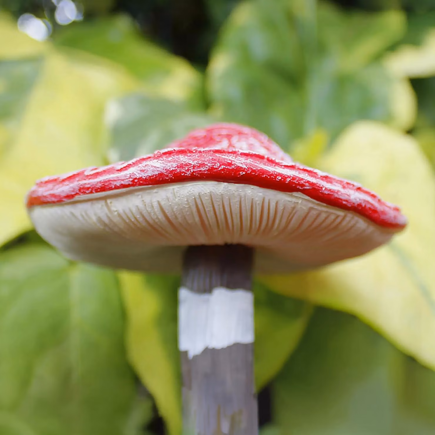 Marco Paul 4pc Red Toadstool Miniature Garden Ornaments Set in Resin – 3