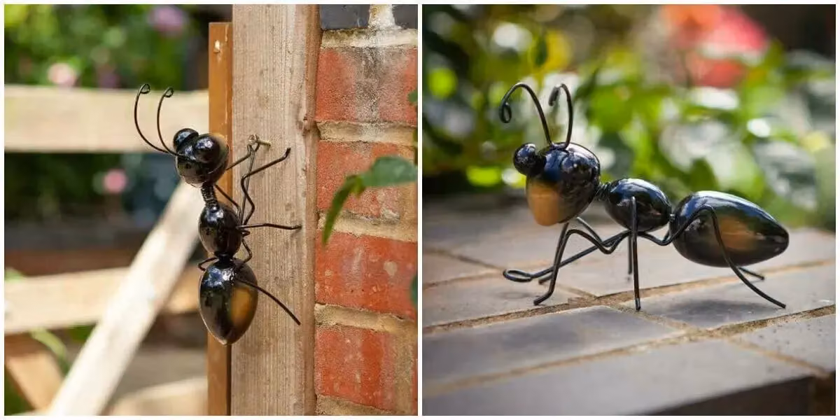 Marco Paul Black Metal Ant Wall Art for Garden, H 15 cm x W 8 cm x D 1 cm – 3