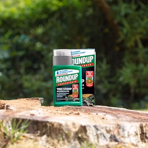 Roundup Tree Stump Weedkiller Super Concentrate 250 ml – 3