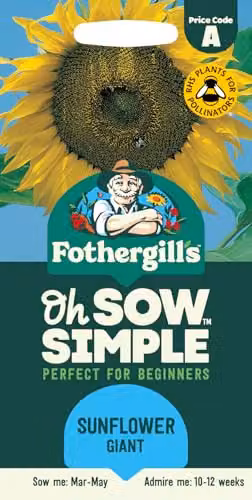 Fothergill's Oh Sow Simple Yellow Sunflower Giant Flower Seeds – 1