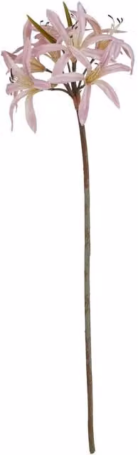 Hill Interiors Natural Garden Collection Lily Stem Artificial Flower in Baby Pink – 1
