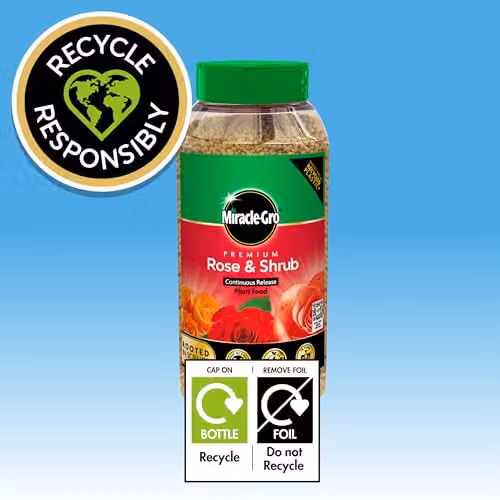 Miracle-Gro Premium Rose and Shrub Continuous Release Plant Food, 900g – 6