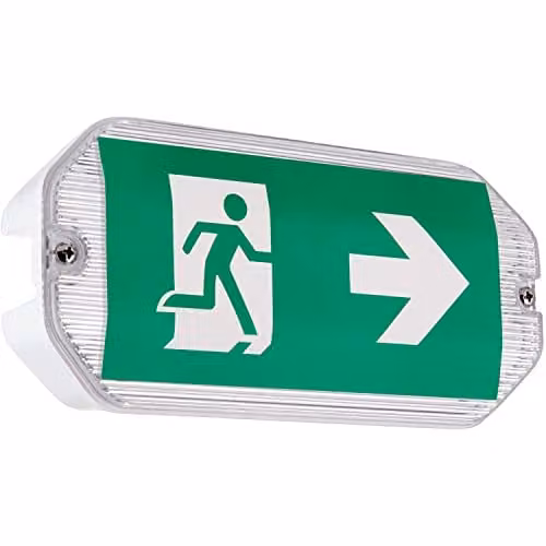Loops Outdoor Emergency LED Wall Light, White and Transparent, IP65 Rated, Cool White