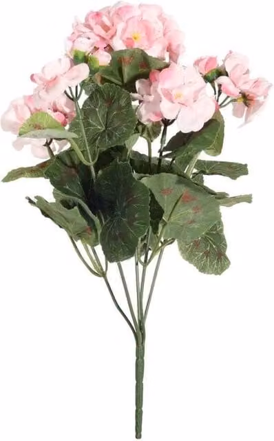 KDMD Pink Geranium Bush, 2 Pack