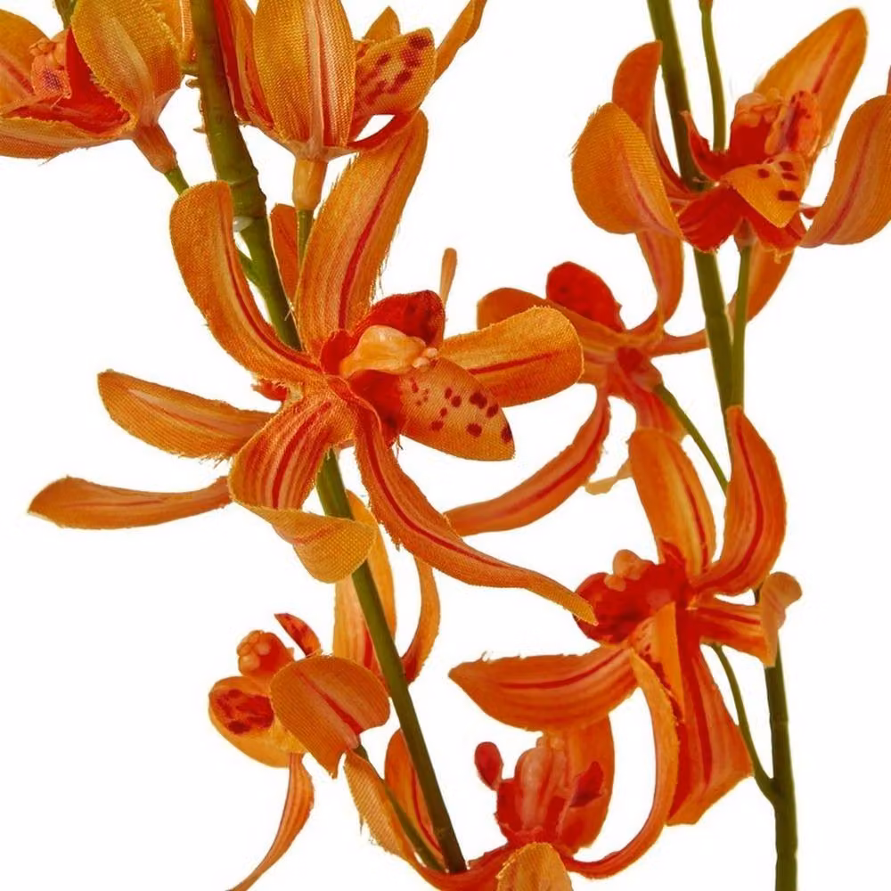 Lemon Pavilion Furniture and Decor Orange Cymbidium Orchid Spray, W24 x D10 x H95 cm – 2