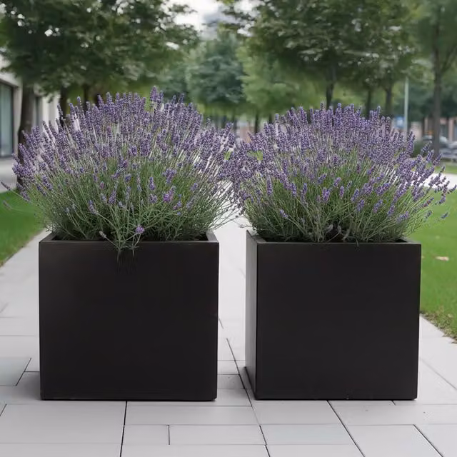 Idealist Set of 2 Square Ceramic and Stone Garden Planters, Black