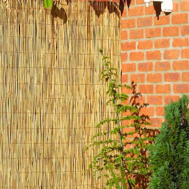 Primrose Woven Peeled Reed Fence Screening Roll, Brown, Height: 120 cm