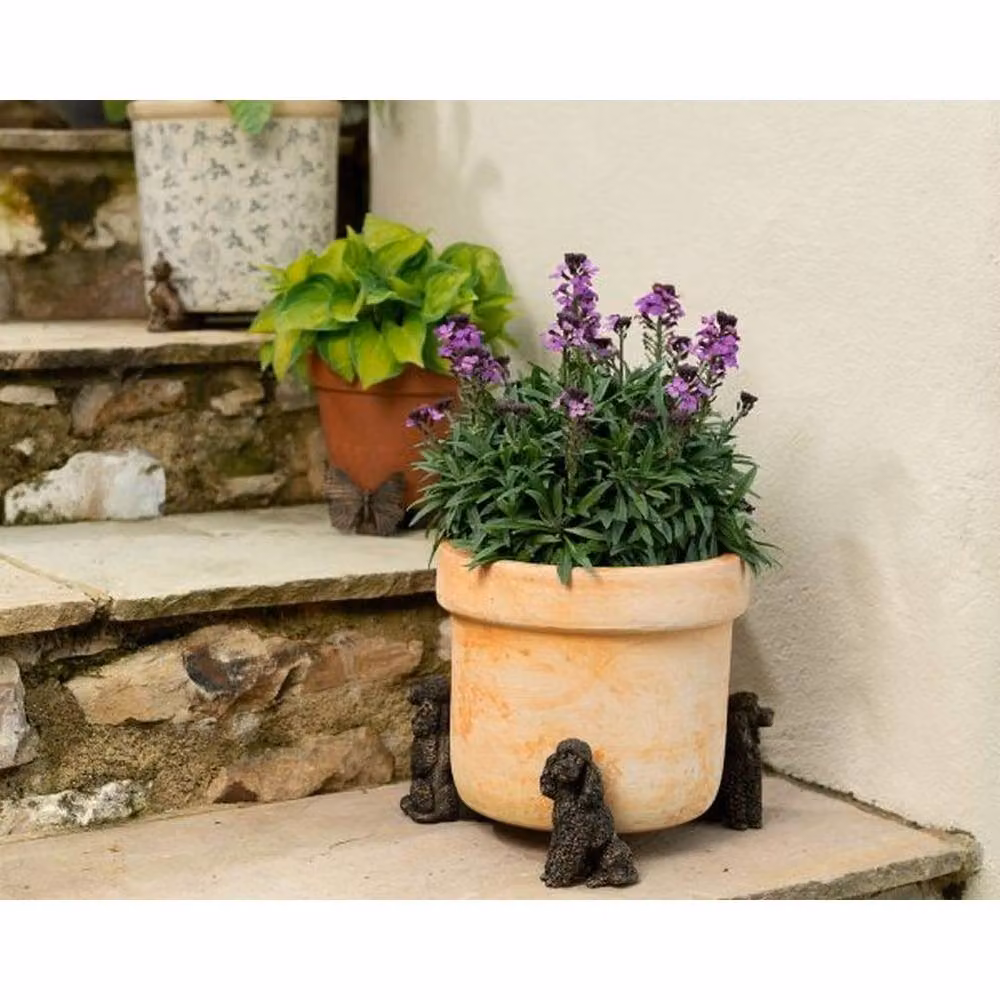 Jardinopia Poodle Plant Pot Feet, Set of 3, Bronze, L8 x W4.5 x H9.5 cm – 3