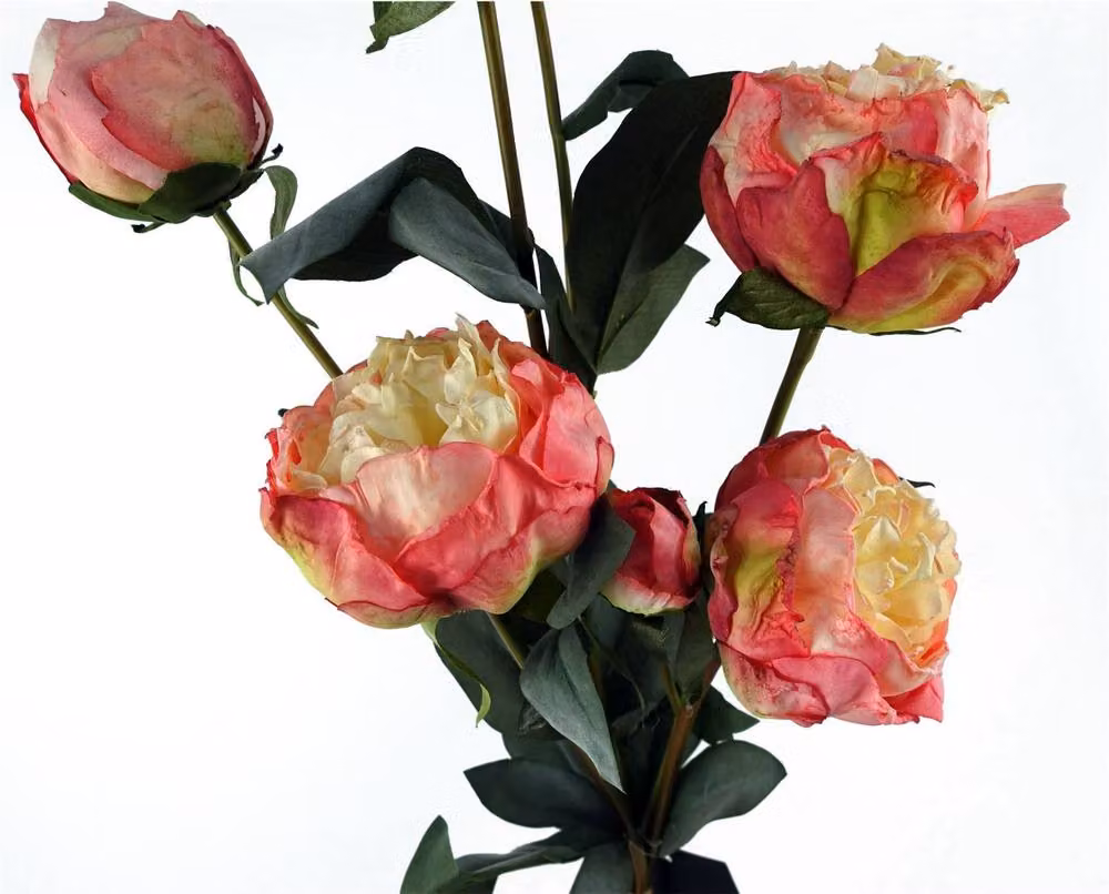 Leaf Pink Peony Artificial Flower Stems, 6 Pack, Height: 55 cm – 2