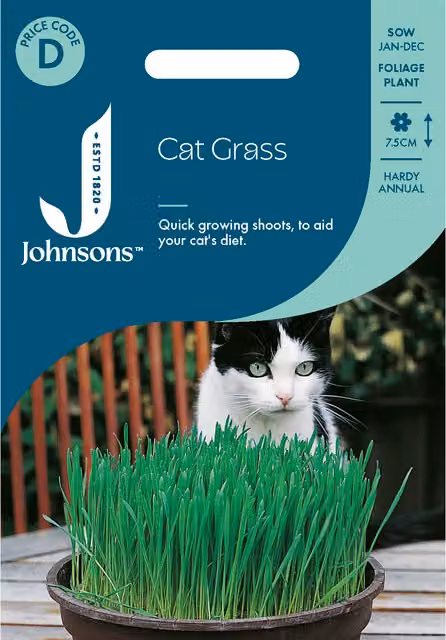 Johnsons Seeds Cat Grass Avena Sati Seeds