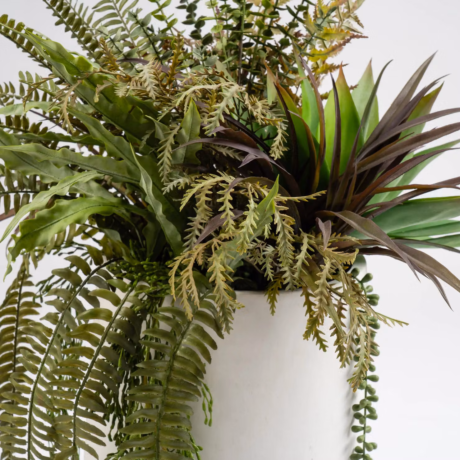 Scottish Everlastings Ltd Mixed Fern and Agave Potted Plant in a Green Oval Ceramic Container – 3