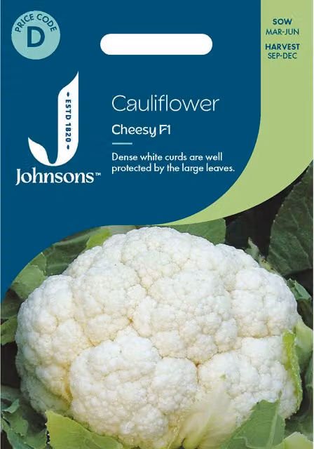 Johnsons Seeds Cauliflower Cheesy Vegetable Seeds, White