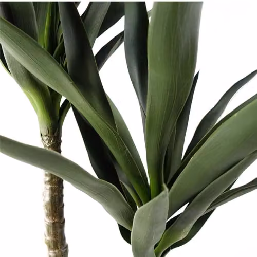 Leaf Design UK Artificial Green Yukka Tropical House Plant, H 120 cm x W 70 cm x D 70 cm – 2