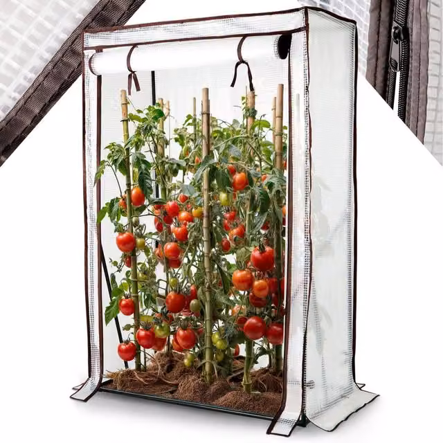 Arebos White Tomato Greenhouse Growing Aid with Metal Frame, W/D/H: 100 x 50 x 150 cm